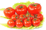 Fototapeta Kuchnia - few tomatos