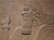 Ancient Assyrian wall carving of a man showing his head and hand