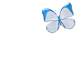 Sticker - papillon bleu