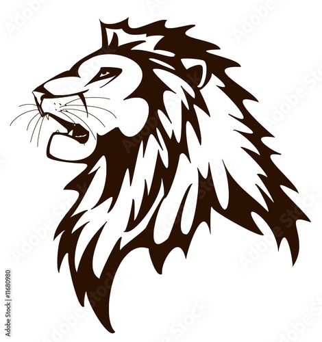 Fényképezés  Löwe