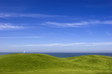 Wall Mural - Green Meadow
