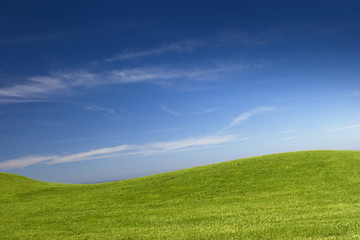 Wall Mural - Green Meadow