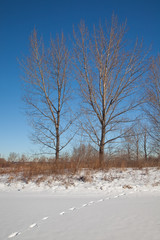 Winter scenery with footprints