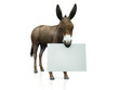 Donkey holding sign