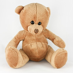 teddy bear