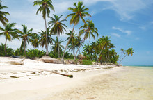 Caribbean Wild Beach
