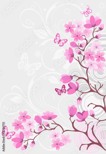 Foto-Plissee - Cherry blossom background (von igor_shmel)