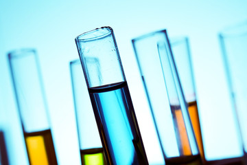 test tubes with colorful liquid in the chemical laboratory