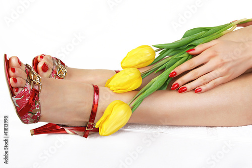 Fotografie, Obraz Feet and hands of a young woman with red nails and yellow tulips