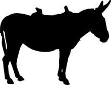 Donkey Silhouette - Vector