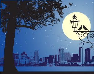 Wall Mural - Urban night scene, idyllic