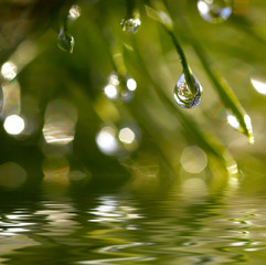 Poster - Water drops reflected in the water