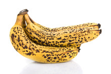 Cluster Of Over Ripe Bananas Isolated On White Background..