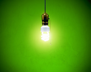 Wall Mural - Compact Fluoresent Bulb - Hanging