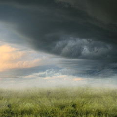 twilight landscape with foggy field