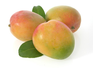 Drei M, angos mit Blättern/three mangoes with leaves