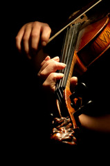 Musician playing violin isolated on black