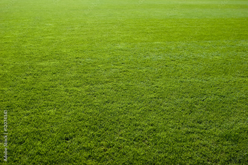 Grass soccer discount