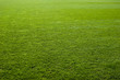 Leinwandbild Motiv Green grass texture of a soccer field.
