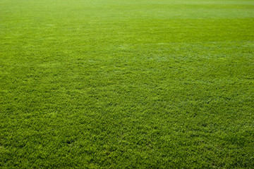 green grass texture of a soccer field.