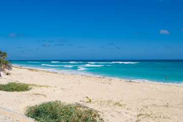 Canvas Print - Deserted tropical beach