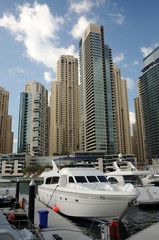 Wall Mural - Yachts at Dubai Marina, United Arab Emirates