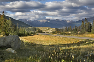 Wall Mural - Lawn at road