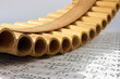 Pan flute and notes