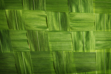 Wall Mural - leaves texture