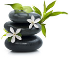 Spa still life with white flowers