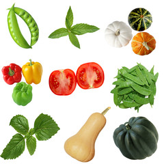 Wall Mural - Vegetable Set