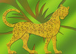 Gepard - Cheetah - Raubkatze - Wildkatze