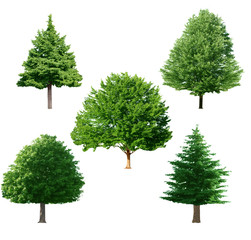 Tree set