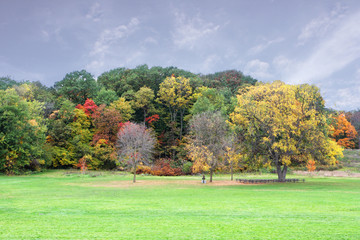 Wall Mural - Autumn Scene