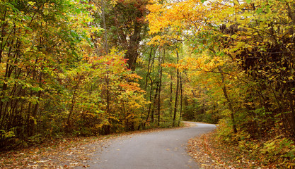 Wall Mural - Autumn