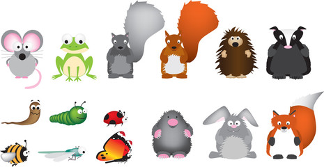 uk british wildlife set