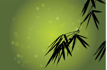Detail Of Bamboo Leaves Silhouette Against Green Background
