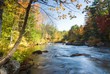 Spectacular fall riverbank