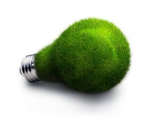 lightbulb made of green grass isolated on white