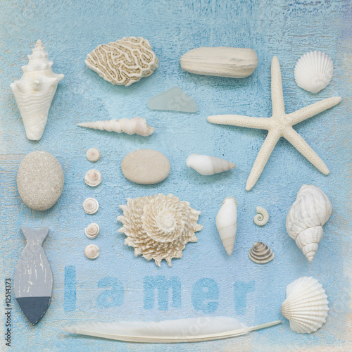 einzelne bedruckte Lamellen - Strandgut Collage (von Sunnydays)