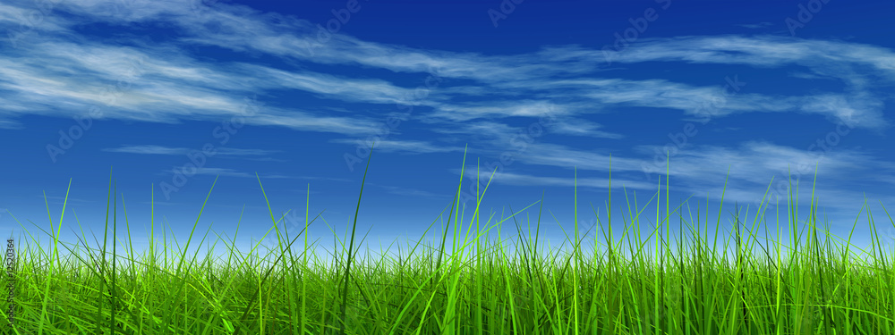 green grass over a blue sky with white clouds as background Stock ...