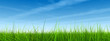 grass over a blue sky banner with clouds and plane trails