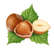 Hazelnuts 8