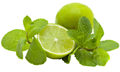 Sticker - Limes and mint