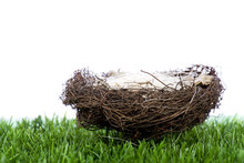 Straw Nest On The Green Grass