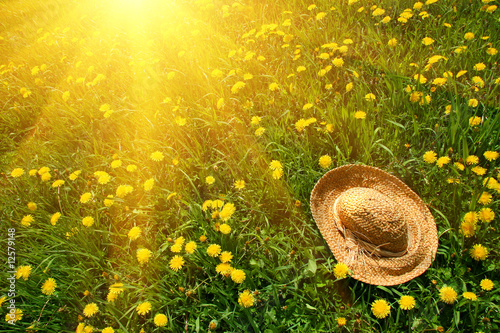 Fototapeta do kuchni Rays of sun on green grass with straw hat