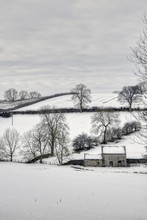 Bleak Winter Countryside