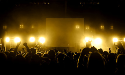 Cheering crowd at concert