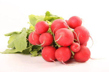 Wall Mural - radishes