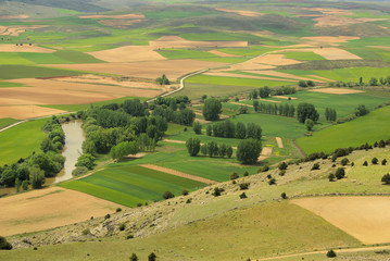 Wall Mural - Gormaz Feld - Gormaz field 04